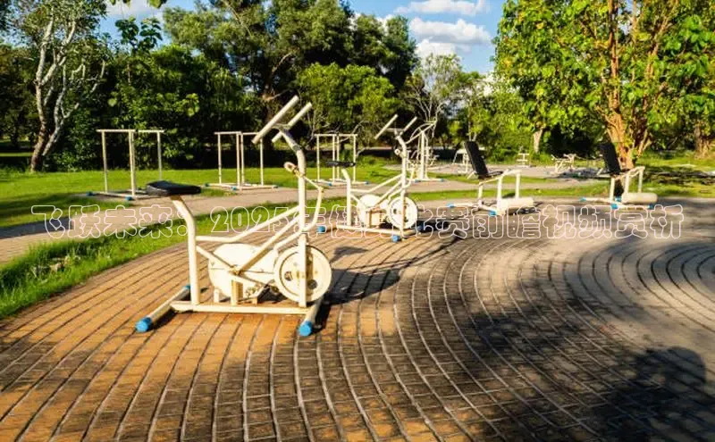 天生赢家凯发一触即发小说